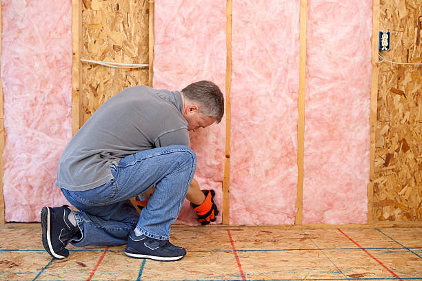 Best Blown-In Insulation  in Manistee, MI